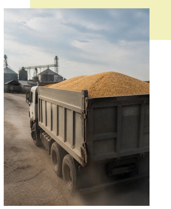 Перевозка сельхозпродукции навалом в Энгельса по цене от 3198 р. | Агросервис-Энг