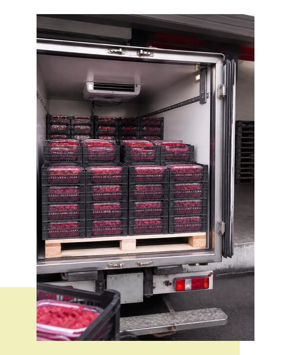 Перевозка малины в Энгельса с соблюдением температурного режима